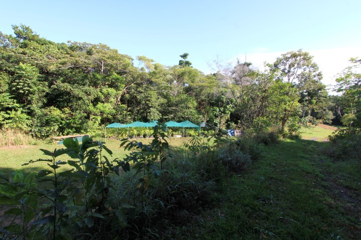 Real Estate in Bramston Beach