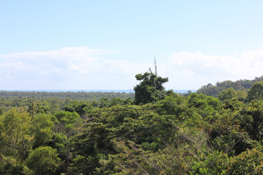 Real Estate in Bramston Beach