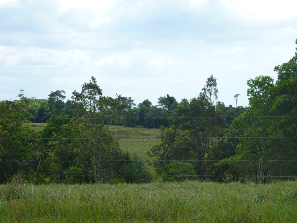 Real Estate in Moresby