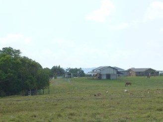 Real Estate in Moresby