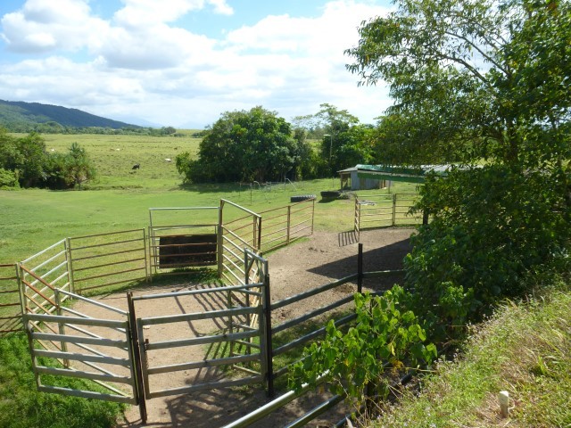 Real Estate in Moresby