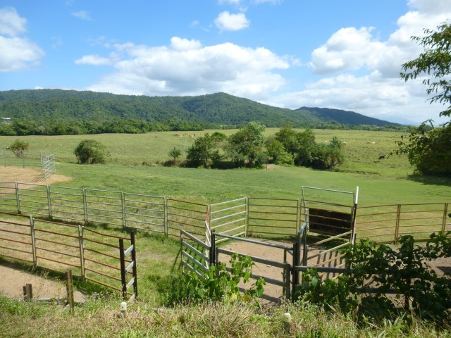 Real Estate in Moresby
