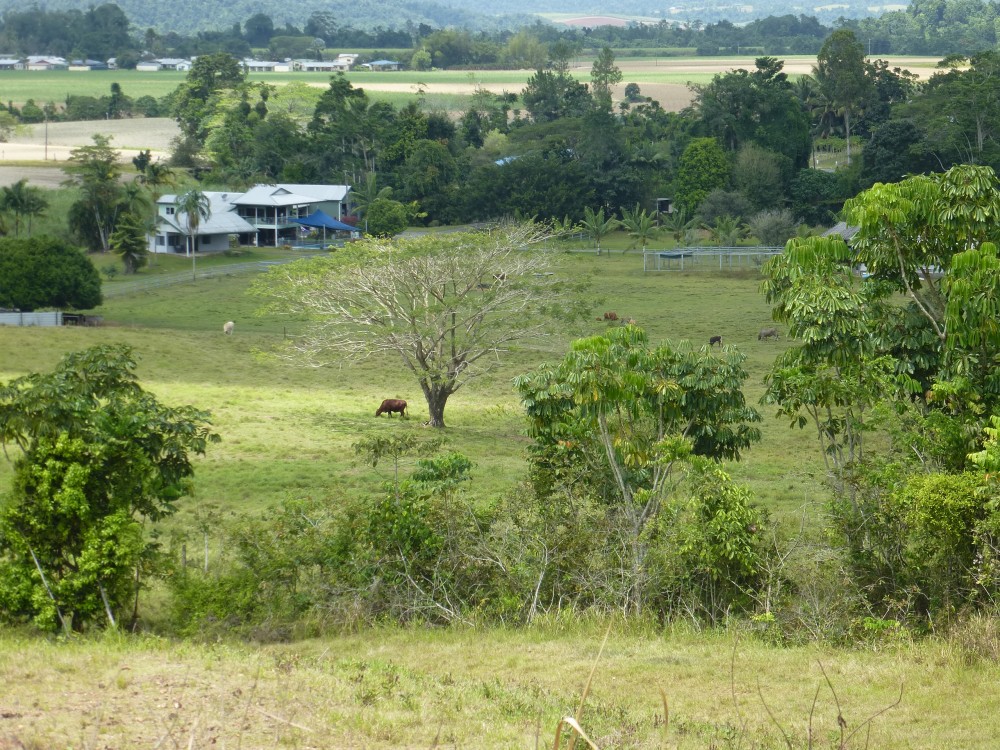 Real Estate in Cairns