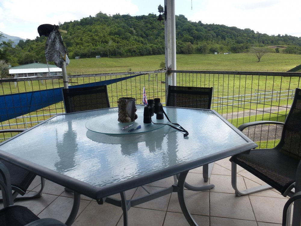 Real Estate in Cairns