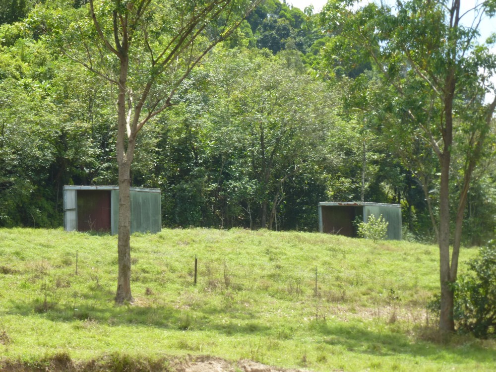 Real Estate in Cairns