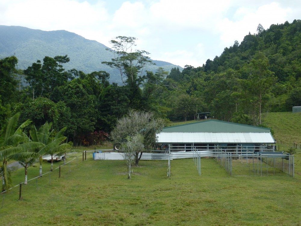 Real Estate in Cairns