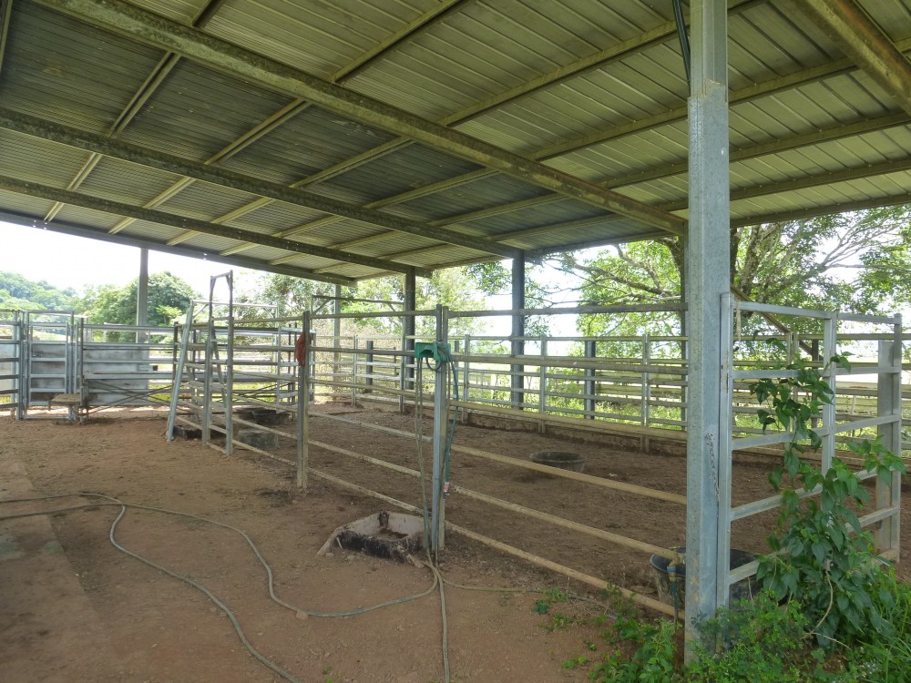 Real Estate in Cairns