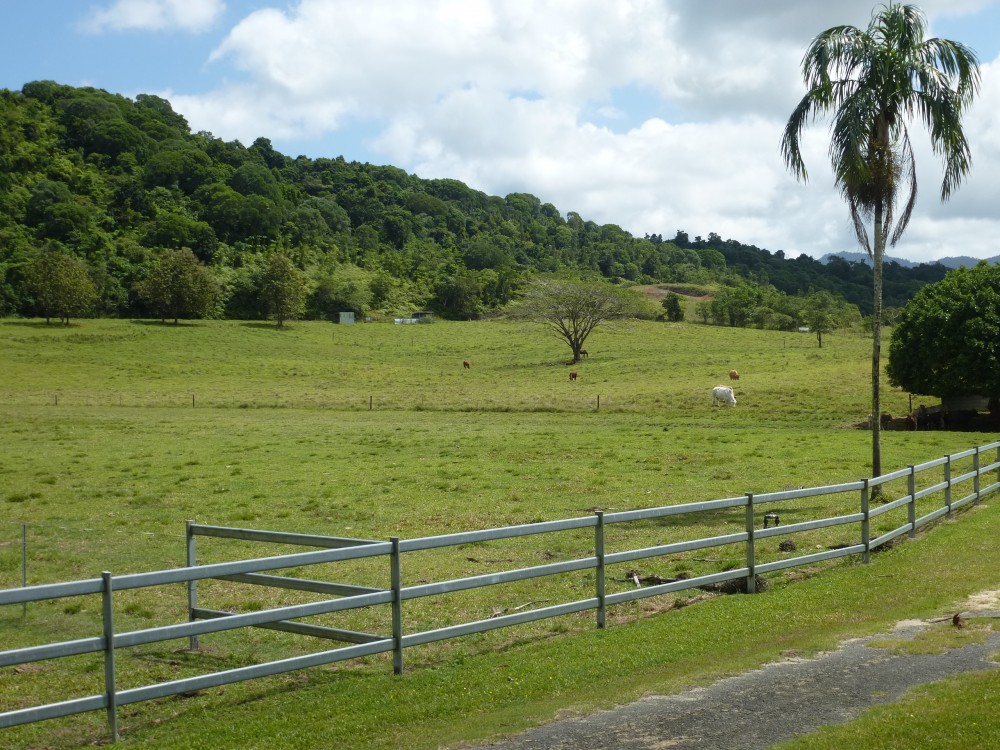 Real Estate in Cairns