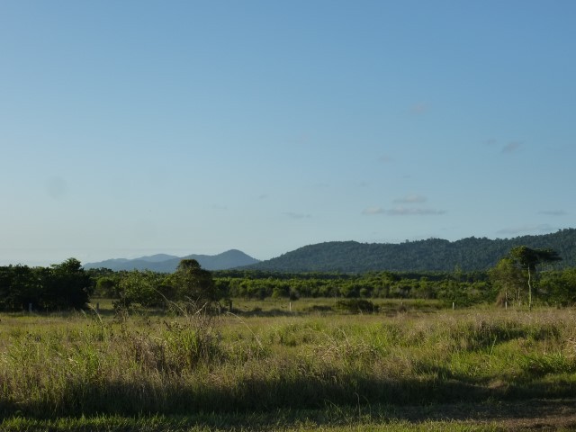 Etty Bay real estate For Sale