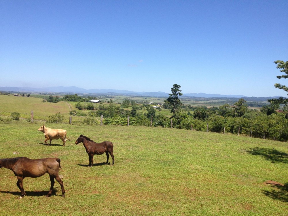 Eubenangee Properties For Sale