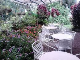 Babinda real estate For Sale