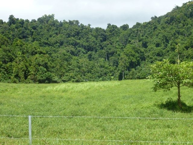 Property For Sale in Babinda