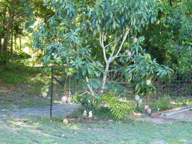 Real Estate in Cowley Beach