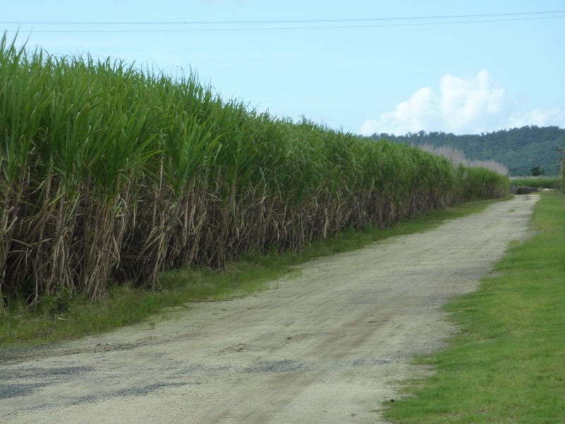 Babinda Properties For Sale