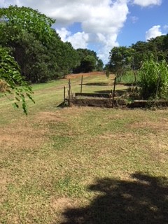 Real Estate in Jubilee Heights