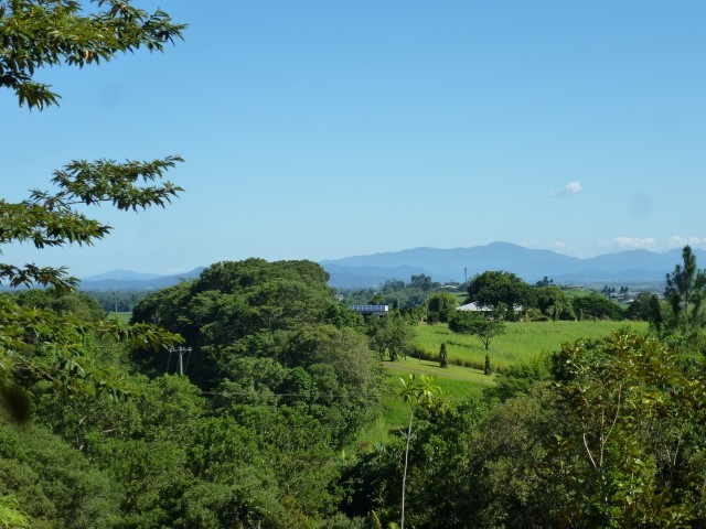 Real Estate in Jubilee Heights