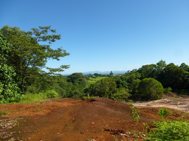 Open for inspection in Jubilee Heights