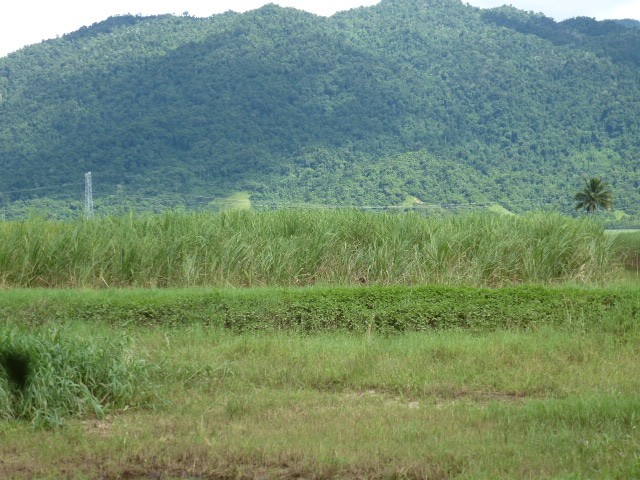 Property For Sale in Babinda