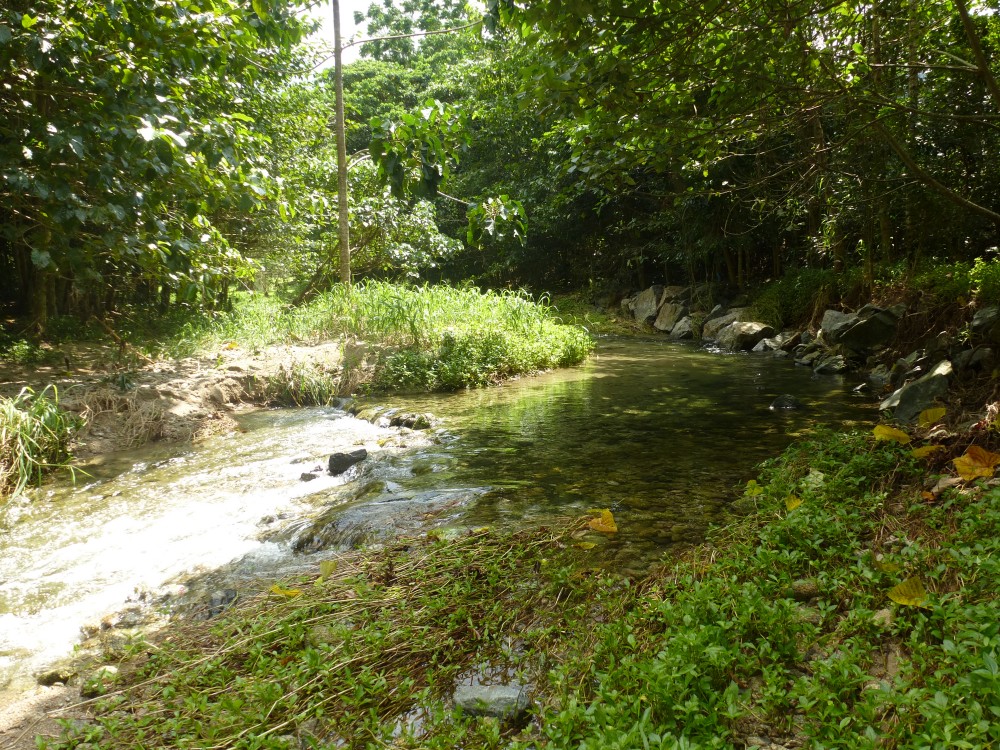 Selling your property in Babinda