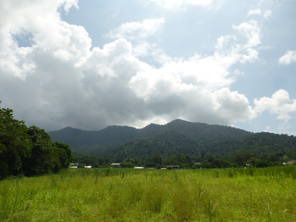 Real Estate in Babinda