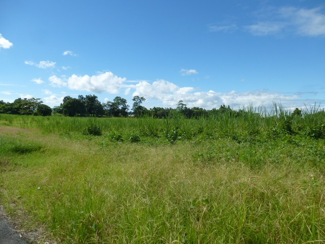 Babinda real estate For Sale