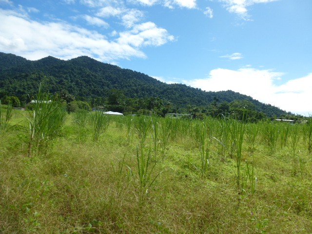 Open for inspection in Babinda