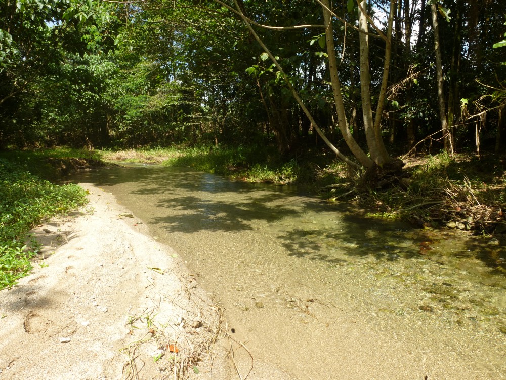 Babinda Properties For Sale