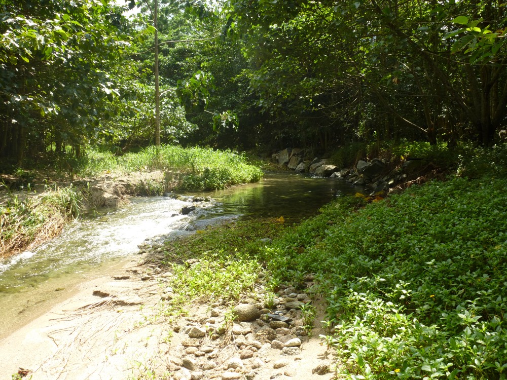 Real Estate in Babinda