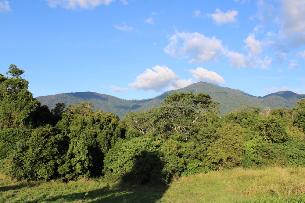 Real Estate in Goldsborough