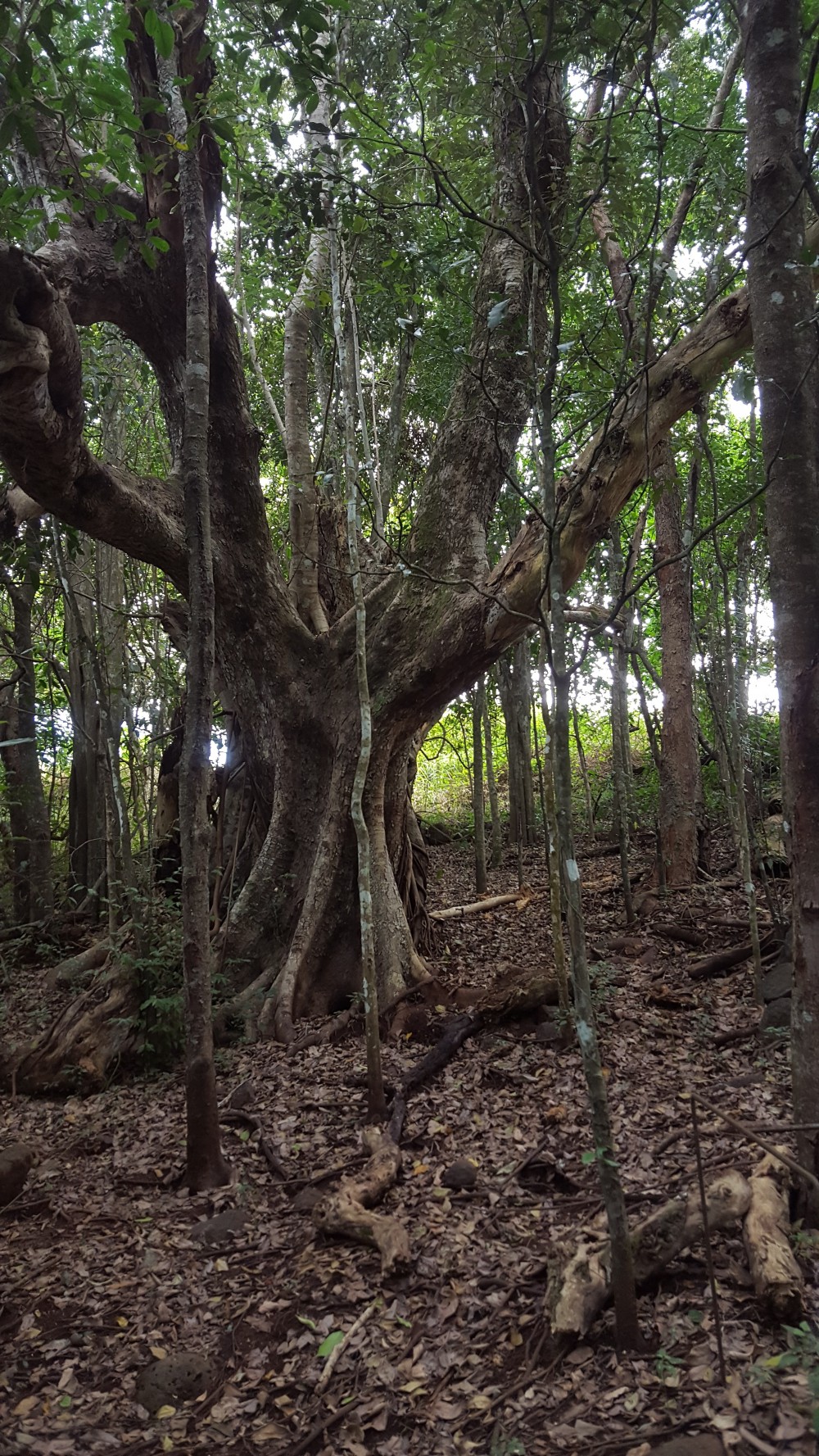 Selling your property in Goldsborough