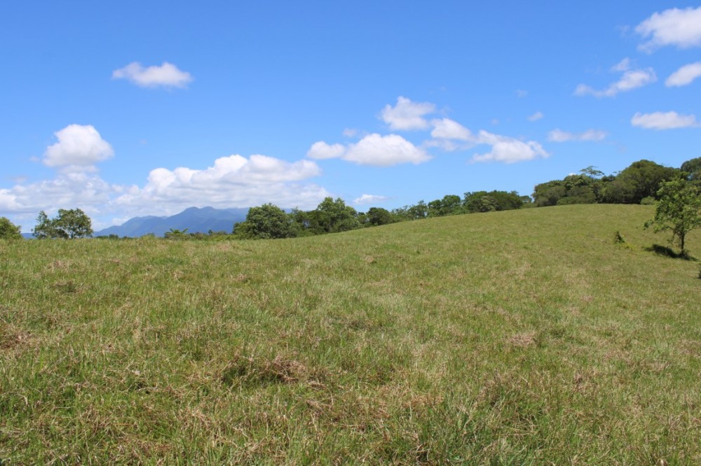 Real Estate in Eubenangee