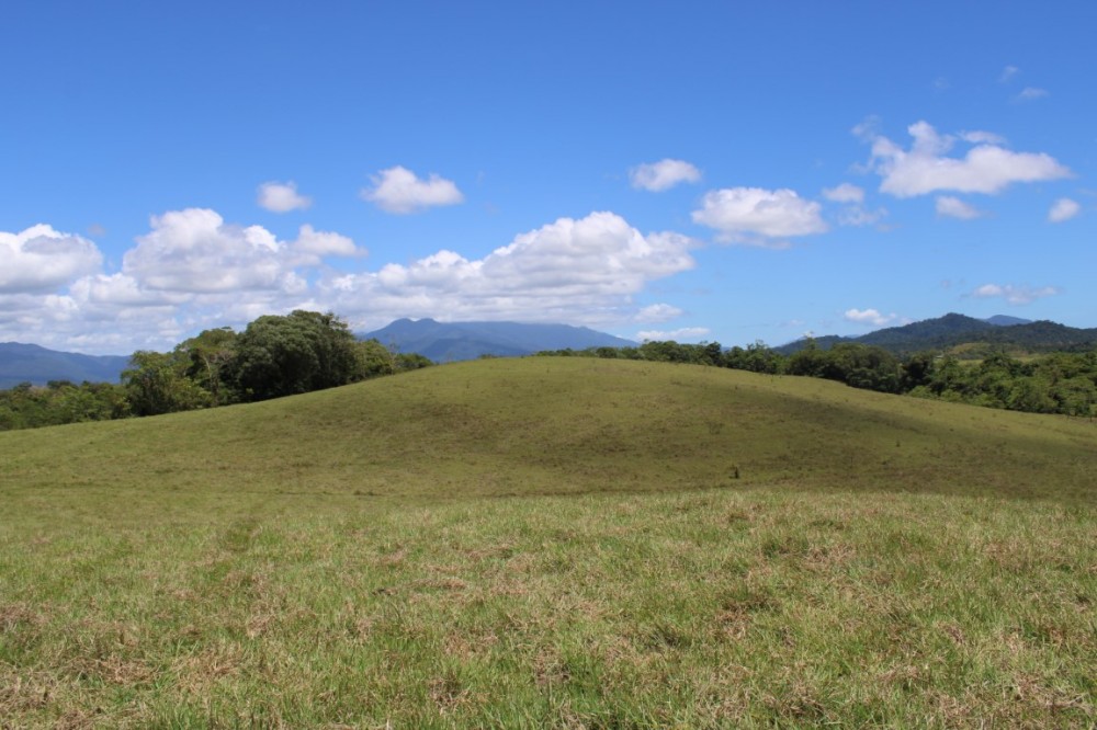 Real Estate in Eubenangee