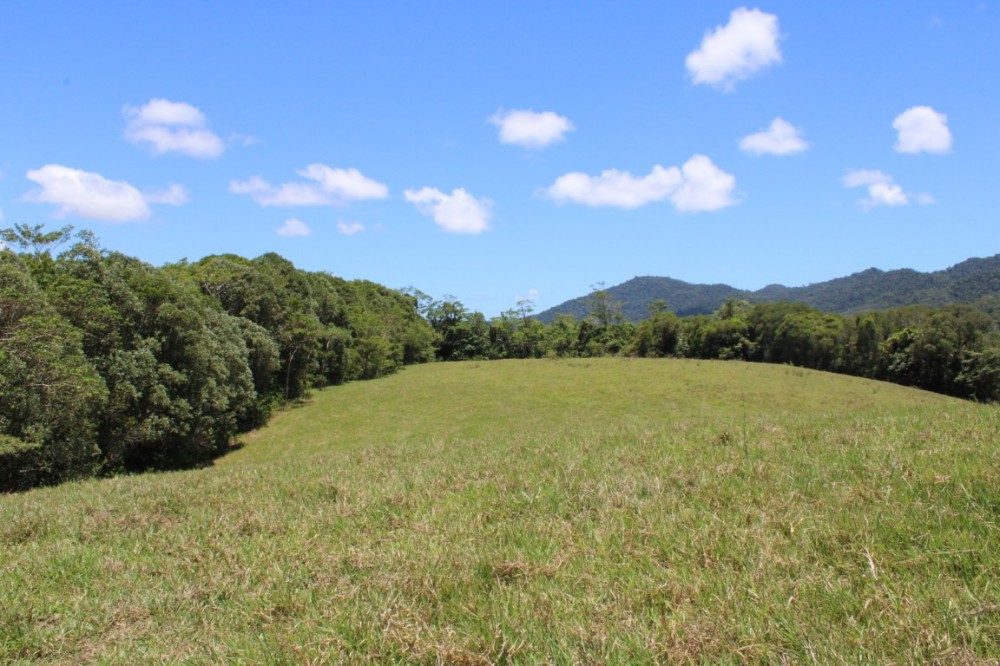 Real Estate in Eubenangee