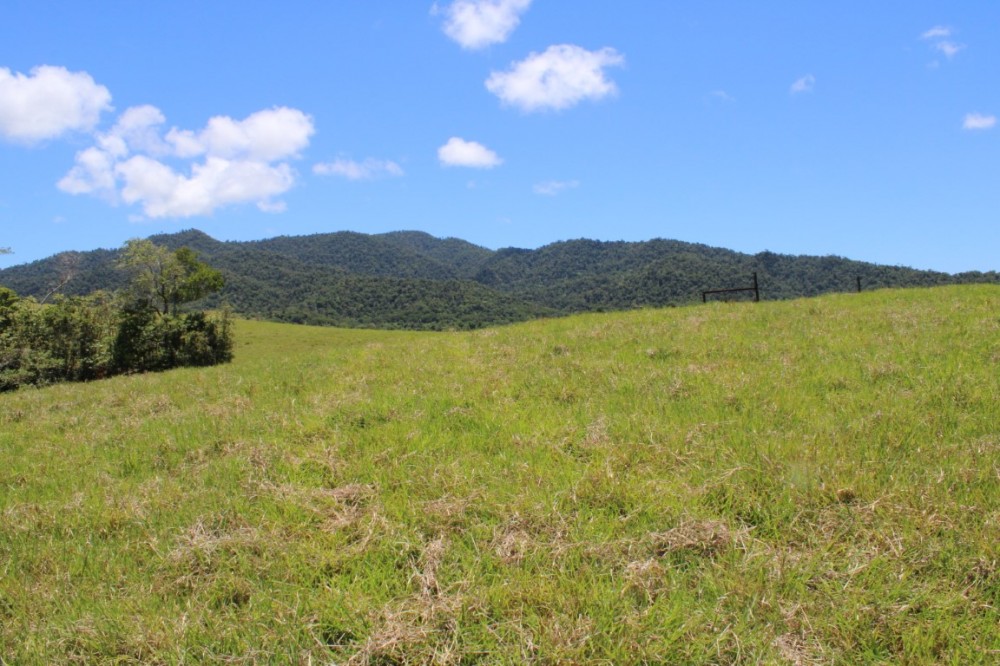 Real Estate in Eubenangee