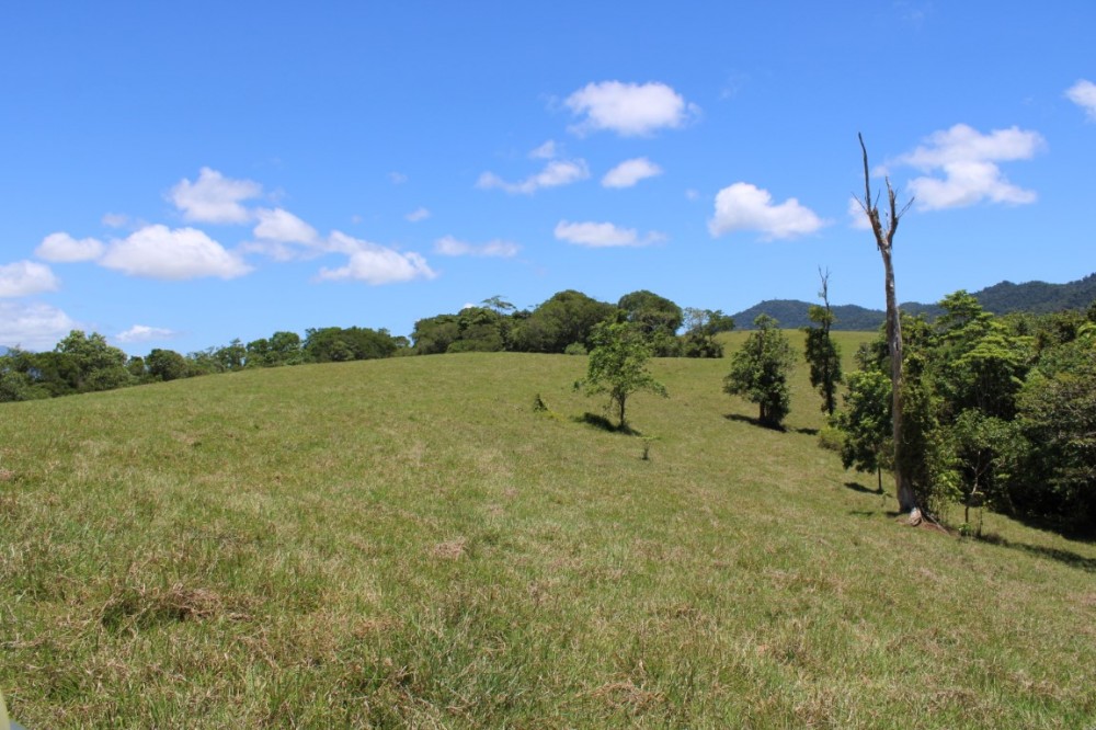 Real Estate in Eubenangee