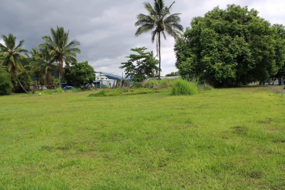 Real Estate in Babinda