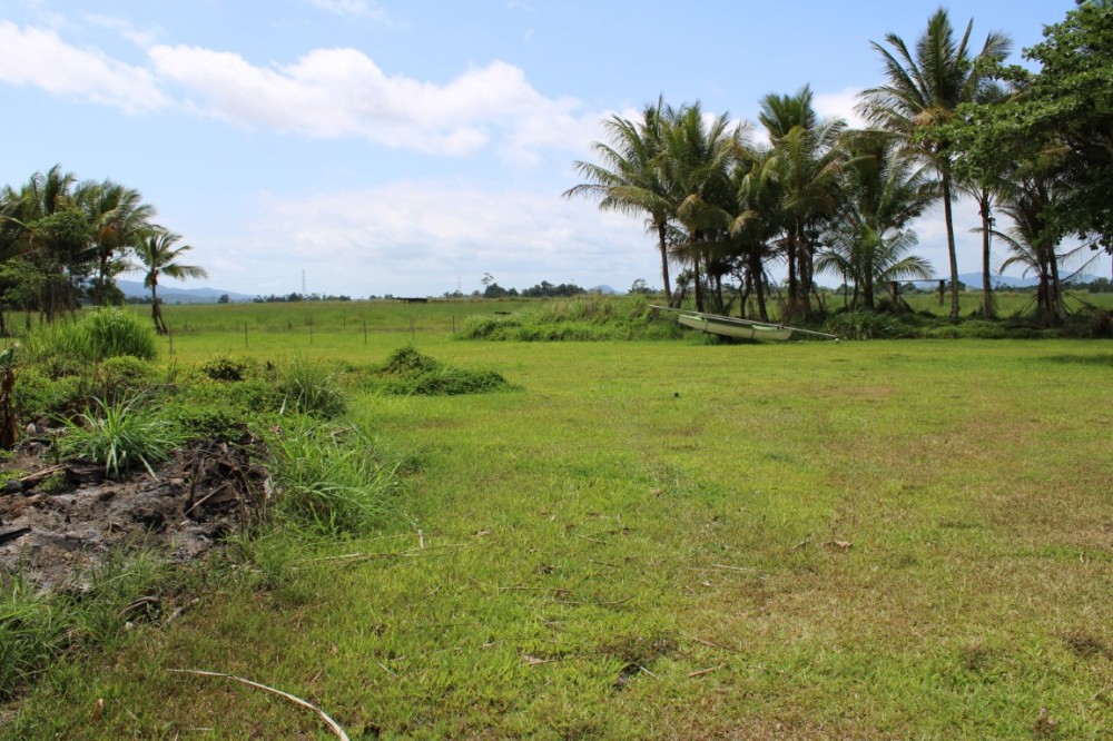 Real Estate in Babinda