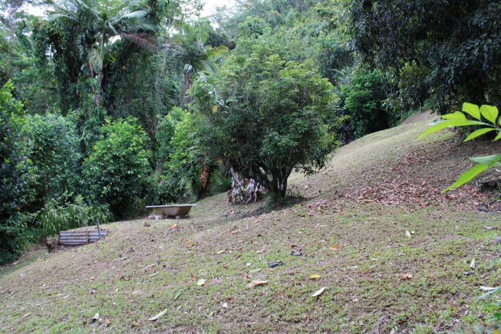 Real Estate in Babinda