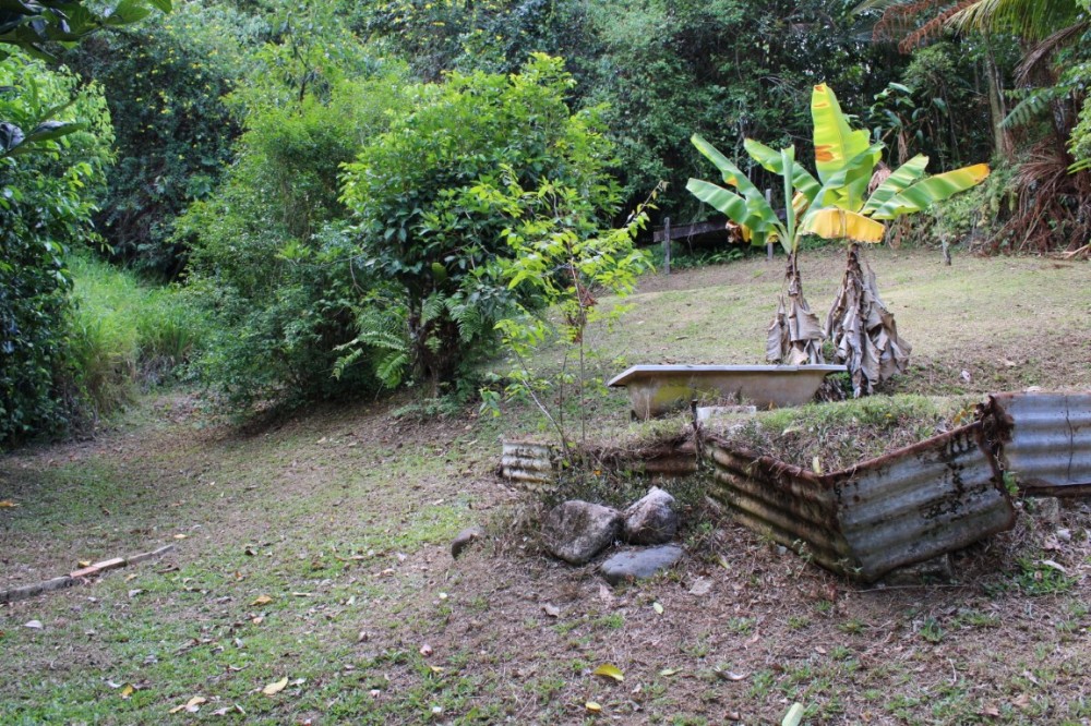 Real Estate in Babinda