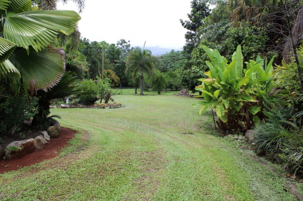 Real Estate in Babinda
