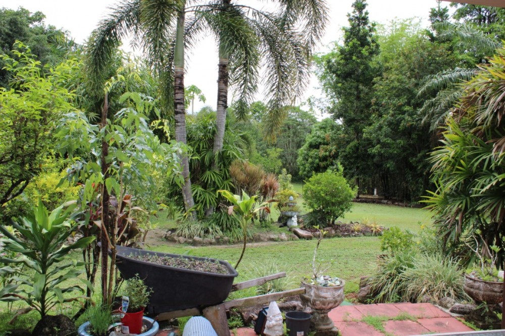 Real Estate in Babinda