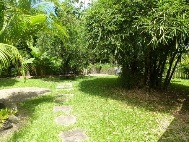 Real Estate in Babinda