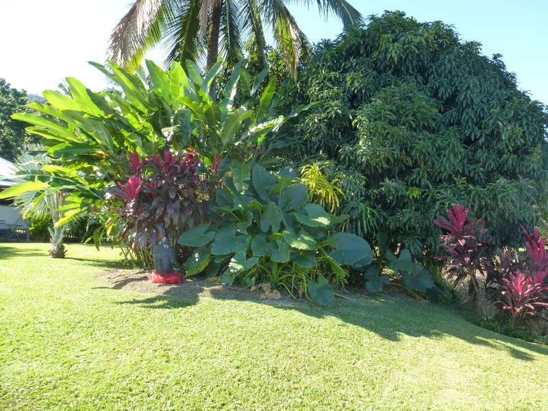 Real Estate in Babinda