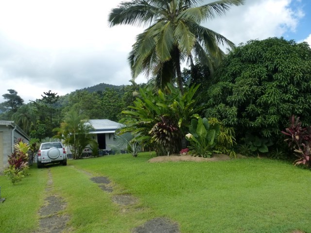 Real Estate in Babinda
