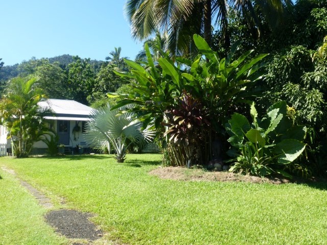 Real Estate in Babinda