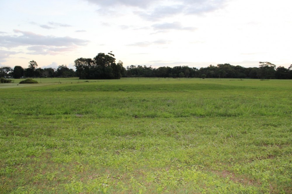 Babinda Real Estate > For Sale