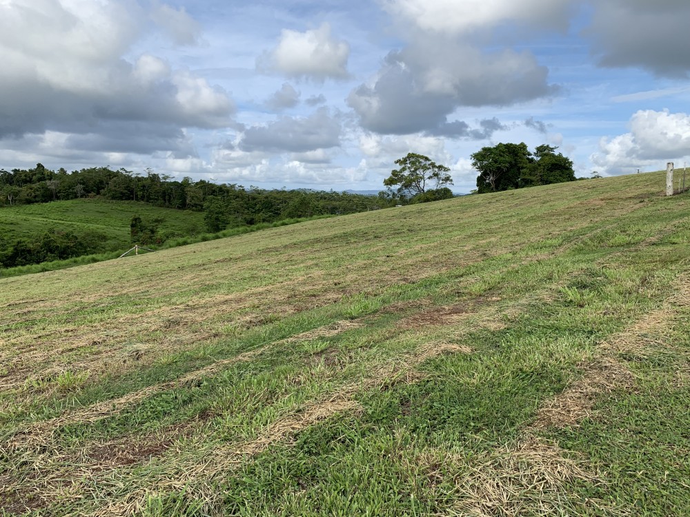 Babinda Real Estate > For Sale