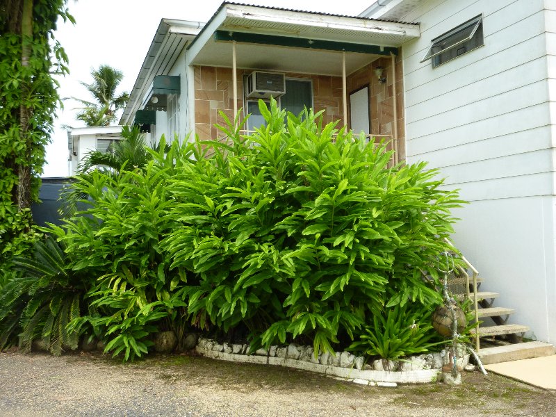 Open for inspection in Innisfail