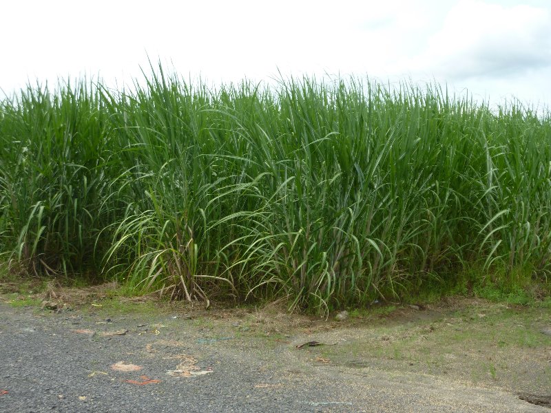 Innisfail real estate For Sale