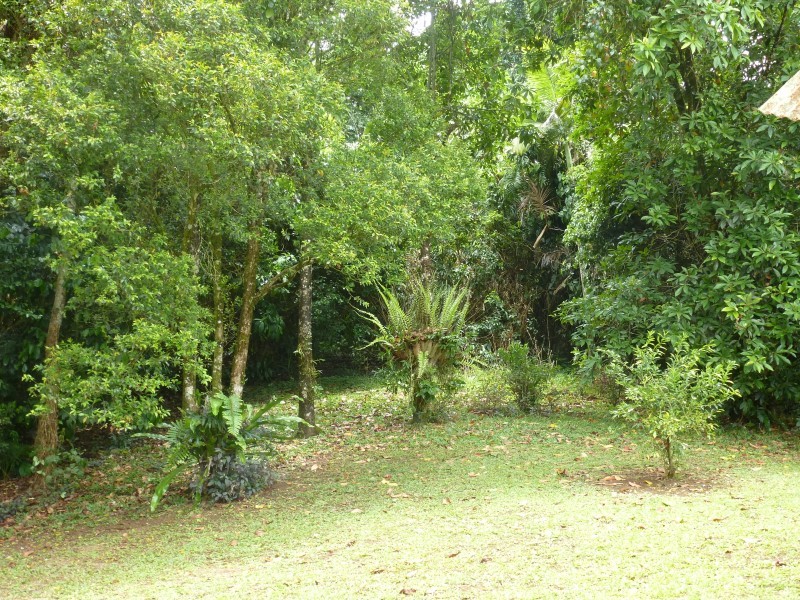Real Estate in Babinda